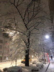 90C87624-EB7B-4D3E-9748-6954F03A6257
